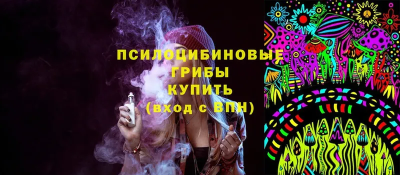 где найти   Грайворон  Галлюциногенные грибы Psilocybine cubensis 